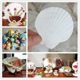 thumbnail image 2 of 25pcs Natural Scallop Shell, Special For Handmade Diy Creative Production Handmade Diy Creative Col, 2 of 5