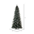 thumbnail image 3 of Vickerman 7.5' x 44" Frosted Douglas Fir Artificial Slim Unlit Christmas Tree., 3 of 5
