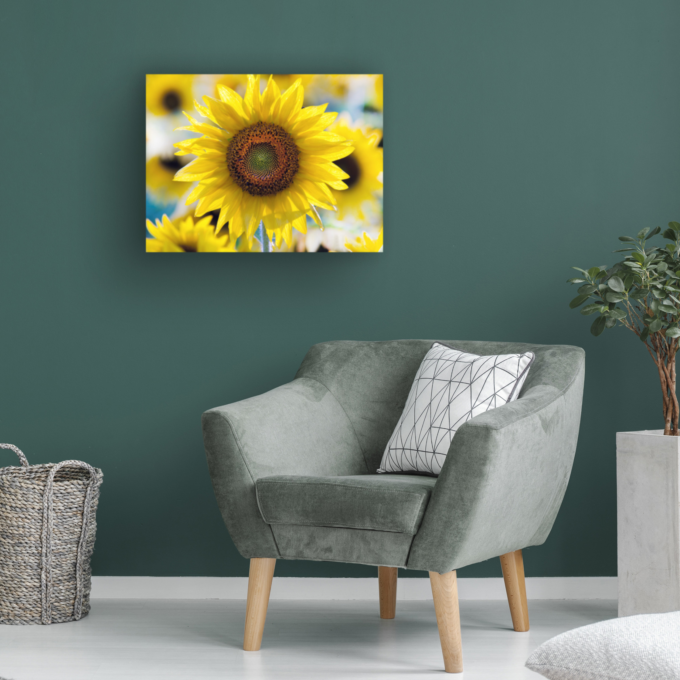 Canvas Wall Art - Clive Branson 'Sunflower' Wall Art for Living Room, Bedroom, or Office Décor by Trademark Fine Art - 24 x 18 Inches