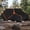 Black Orange, variant on InTimesAuto 125 Inch UTV Cover for Polaris Ranger RZR, Can-Am Defender Maverick Commander, Yamaha Wolverine, Kawasaki Mule, Honda Pioneer, Black 600D Side by Side Cover Protection for 2-3 Seater UTV