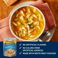 thumbnail image 3 of Progresso Rich & Hearty, Chicken & Homestyle Noodles Soup, 19oz (2 Pack), 3 of 3