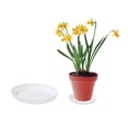 thumbnail image 2 of huntermoon Flower Pot Drip Trays 10 Inch Mobile Chassis Base Plant Saucer Thicker Indoor Outdoor Home 1Pcs, 2 of 11