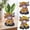 A, variant on hulanddfd Sunflower Highland Cow Figurines Decor, 4 inch Resin Succulents Pot Calf Lovers Gift for Home Garden Kitchen Office