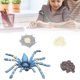 thumbnail image 5 of Figuras de ciclo de vida material de vinilo dibujado a mano juguete de ciclo de crecimiento de textura fina para educación de niños para fiesta de insectos ANGGREK Otros, 5 of 8