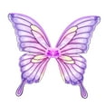 thumbnail image 3 of BELOVING Butterfly Aile Costume de Cosplay pour Fournitures de Fête Performance sur Scène Carnaval, 3 of 10
