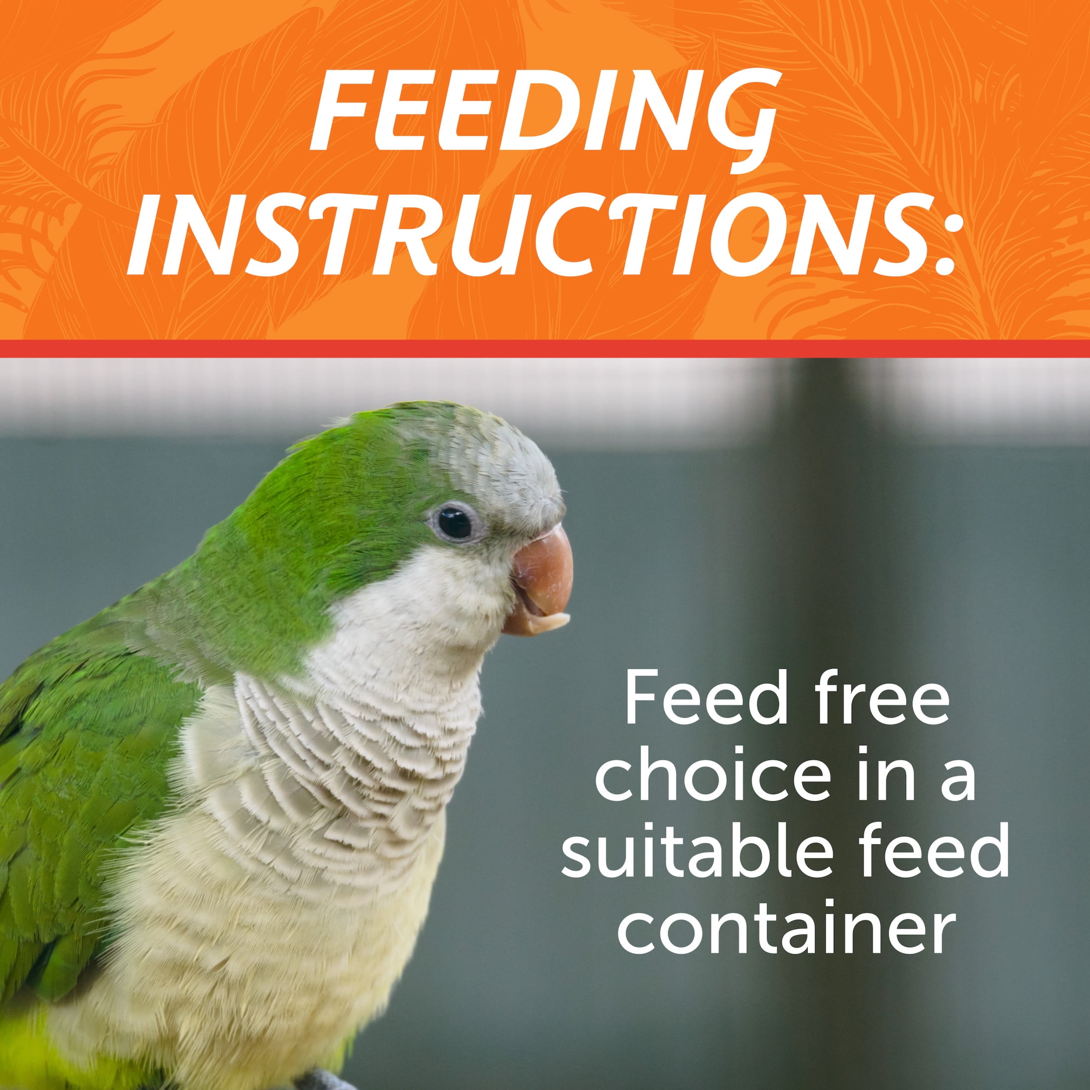 (4 pack) Pennington Medium Bird Blend Bird Food for Cockatiels, Love Birds; 3 lb Bag