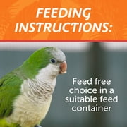Pennington Medium Bird Blend Bird Food for Cockatiels, Love Birds; 3 lb Bag