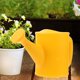 thumbnail image 5 of Mini Watering Can with Long Spout Sprinkler Kids Watering Pot Metal Flower Plant Watering Sprayer, 5 of 5
