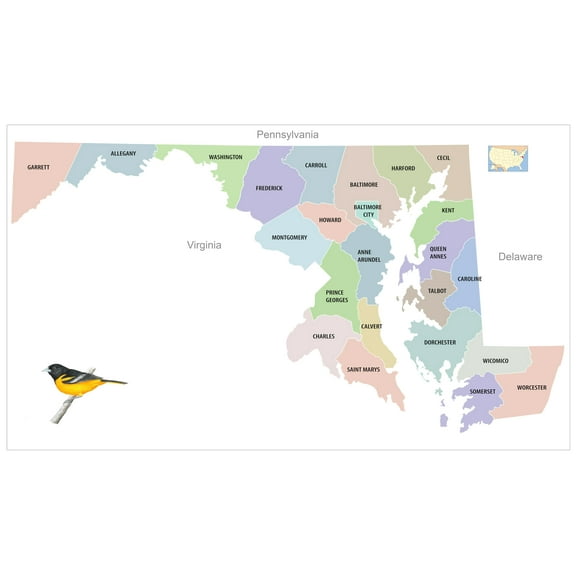 Wall Art Impressions 40x24in Poster Maryland County Map [Laminated]