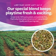 SmartyKat Catnip Mist Pure & Potent Catnip-Infused Liquid Catnip Spray, Trial Size, 0.5 0z