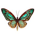 thumbnail image 1 of Eangee Home Design esh129 Butterfly Wall Decor Aqua &amp; Gold, 1 of 1
