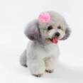 thumbnail image 5 of Horquillas para el pelo hechas a mano con diseños bonitos, accesorios para el pelo para el cuidado del perro, para mascotas, gatos y perros, 5 of 5
