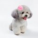 thumbnail image 5 of Horquillas para el pelo Patrones lindos hechos a mano Accesorios para el cabello para el cuidado del perro para mascota gato Dogmix style1, 5 of 5