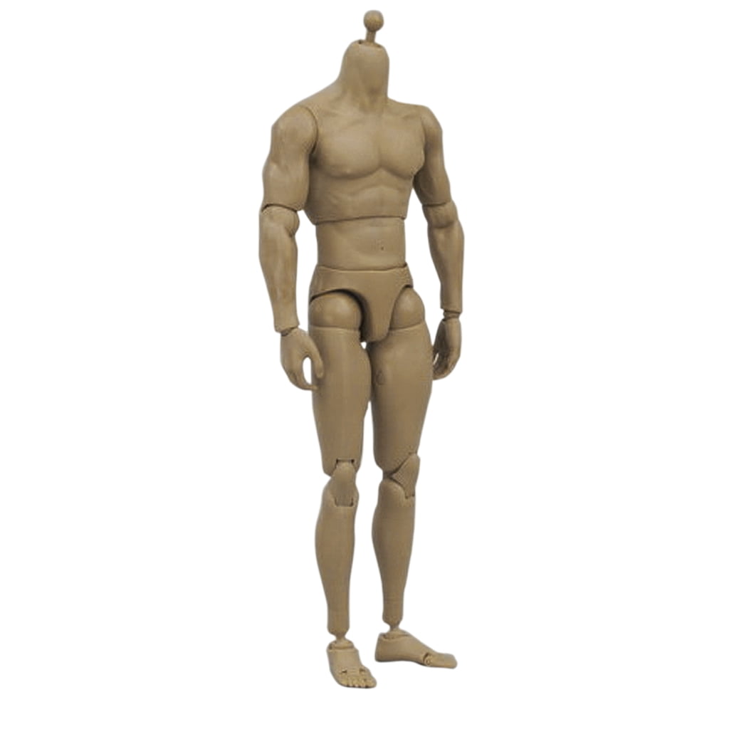 1/6 Scale Narrow Shoulder Male Nude Body for TTM18 TTM19 HOT TOYs Headsculpt 