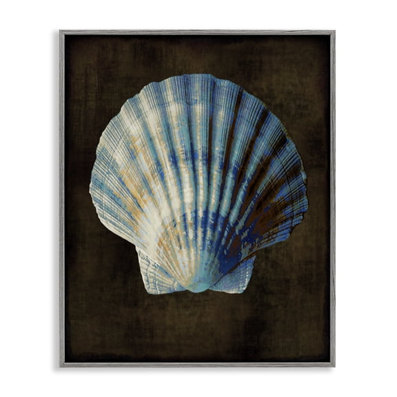 Stupell Industries Traditional Rustic Clam Shell Gray Framed Giclee Art, 16 x 20, by Caroline Kelly