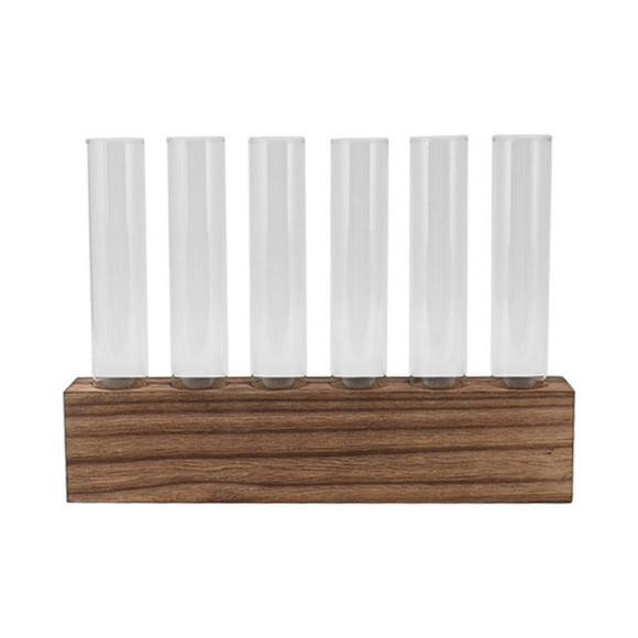 Plant Propagation Tubes,Glass Plant Propagation Station Desktop Plant Terrarium Plant Propagation Station Best in Class
