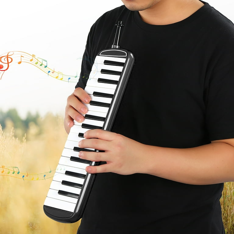 A melodica 2024