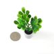 thumbnail image 3 of 1:12 casa de árbol de muebles decoración hogar simución s en Hugo Plantas de miniaturas de casa de muñecas, 3 of 6