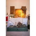 thumbnail image 2 of Cama ortopédica grande para perros NOAH & PAW, 89 x 64 x 22 cm, impermeable, 2 of 7