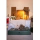 thumbnail image 2 of Cama ortopédica grande para perros NOAH & PAW, 89 x 64 x 22 cm, impermeable, 2 of 7