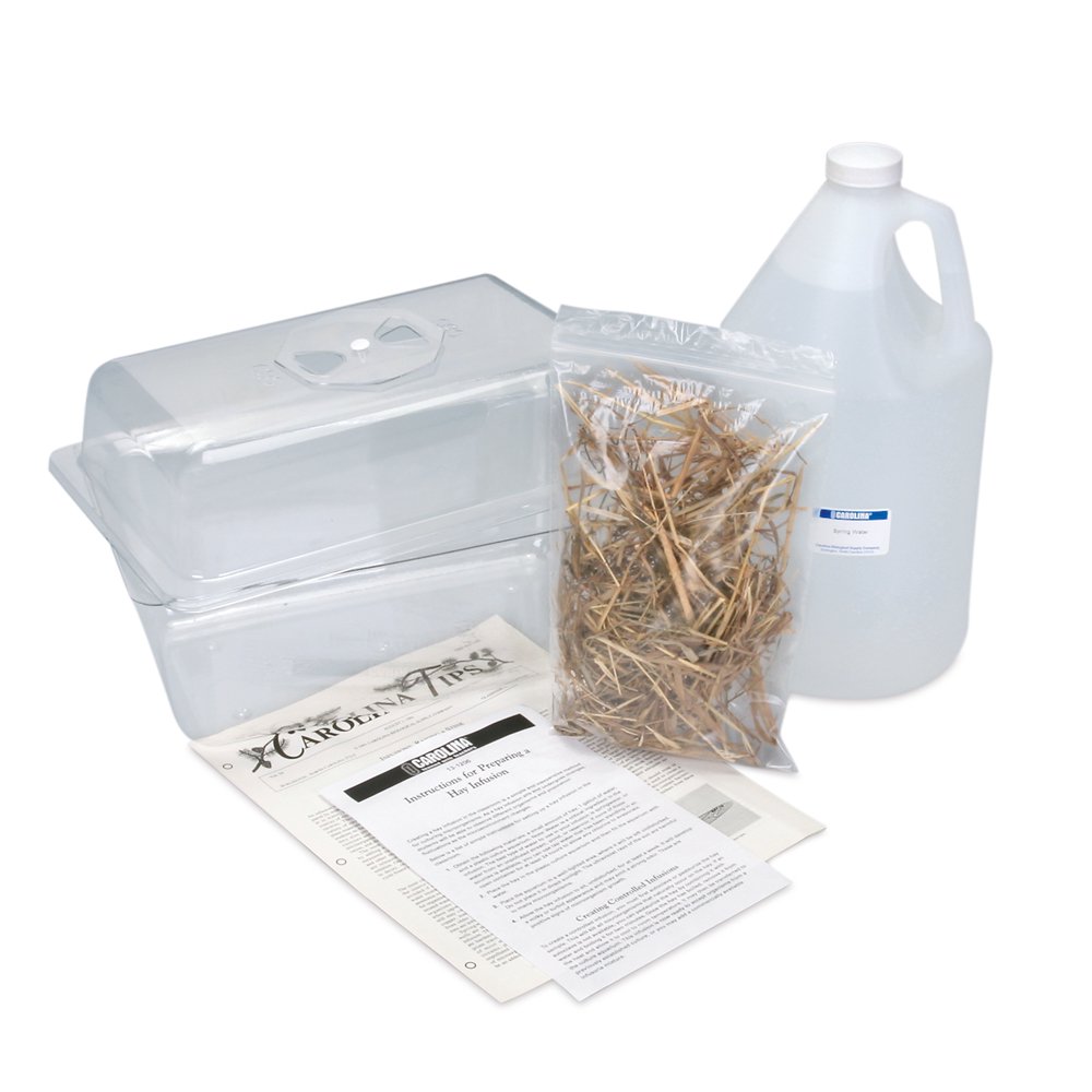 Hay Infusion Kit