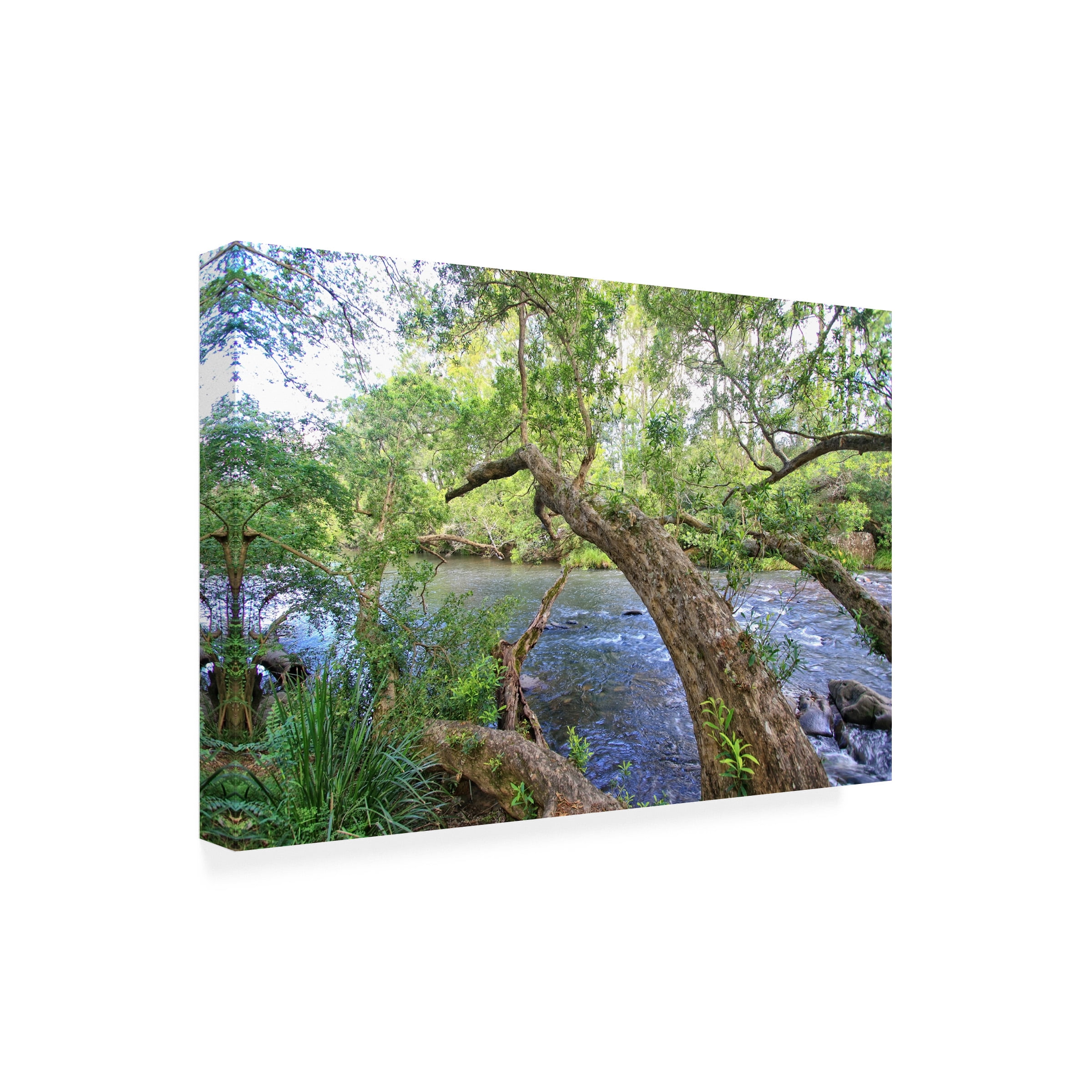 Beata Czyzowska Young 'Summer Greens 2' Canvas Art