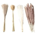 thumbnail image 3 of Fluffy Reed Grass,Natural Dried Pampas Grass Dried Reed Grass Natural Pampas Grass Decor Professionally Tested, 3 of 14