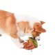 thumbnail image 5 of Juguete de peluche dispensador de golosinas para perros, forma de nuez, interactivo, divertido, resistente a mordeduras, juguete de peluche para olfatear perros, gatos y mascotas, 5 of 8