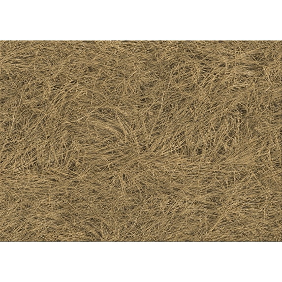 Ahgly Company Indoor Rectangle Patterned Red Dirt Brown Area Rugs, 8' x 10'