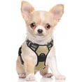 thumbnail image 1 of Rabbitgoo Arnés para Perros, Arnés para Mascotas Sin Tirones con 2 Clips para Correa, Chaleco Acolchado Suave Ajustable para Perros, Chaleco Oxford Reflectante para Mascotas sin Estrangulamiento con M, 1 of 4