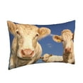 thumbnail image 2 of Balery Cows Cattles Pillow Covers,Bed Pilowcases,Reversible Plush Throw Pillow Covers End Pillow Encasement,Pillow Case - 20"X30", 2 of 9
