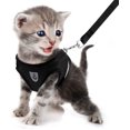 thumbnail image 2 of Dog Harness and Lead Set, Soft Mesh Padded Harness for Puppies and Cats, Reflective, Adjustable, Breathable Chest Harness for Walking, Running, Training （Black,XS）, 2 of 6