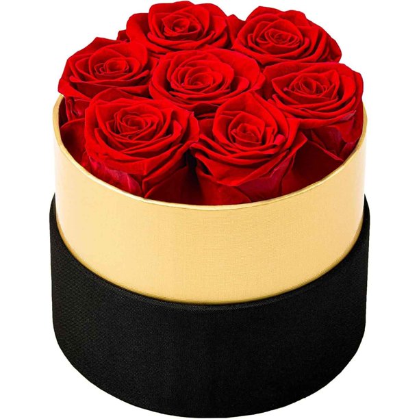 Rosas preservadas en Caja - Flores para Siempre, Rosas para Siempre para Mujer, Rosas para Siempre en Caja, Regalos para Ella (Rojo)