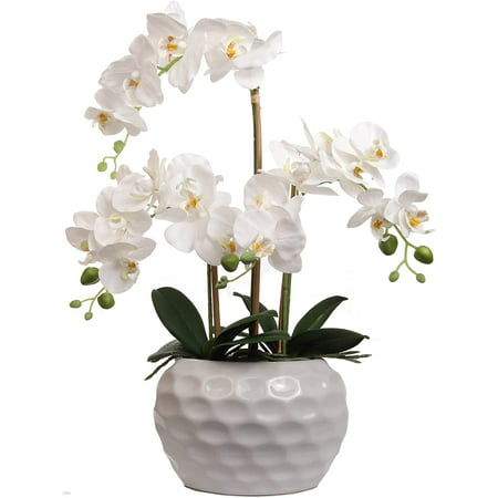 White Orchid Flower Arrangement in Vase 20    20 Detailed Silk Orchid Flower Heads  Decorative White Ceramic Vase  Vibrant Green Foliage Product Description BOX CONTENTS: 19 Inch Phalaenopsis Orchid Floral Arrangement in Decorative Black Ceramic Vase DETAILED: Each arrangement features 20 Detailed Silk Orchid Flower Heads  Decorative Black Ceramic Vase  Vibrant Green Foliage  Realistic Soil  Roots and Green Bulbs  WHITE CERAMIC VASE: A modern white circular ceramic vase will complement any decor Great for home  business  events  medical offices  waiting areas! Truly  you can feature this silk arrangement anywhere! White Orchid Flower Arrangement In Vase 19    20 Detailed Silk Orchid Flower Heads  Decorative Black Ceramic Vase  Vibrant Green Foliage