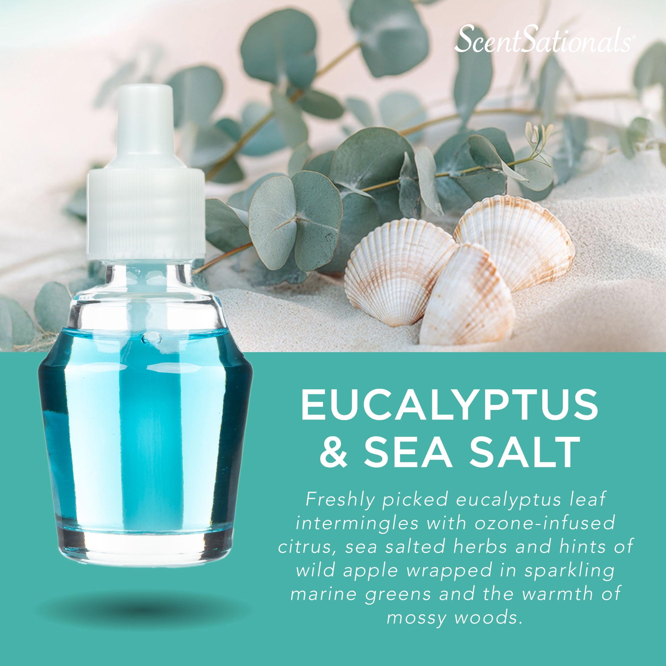 ScentSationals ScentCharm Oil - Eucalyptus Sea Salt, 0.8 Fl oz, 24 mL Refill