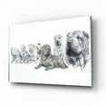thumbnail image 2 of Epic Art 'Growing Up Shar Pei' by Barbara Keith, Acrylic Glass Wall Art, 16"x12", 2 of 8
