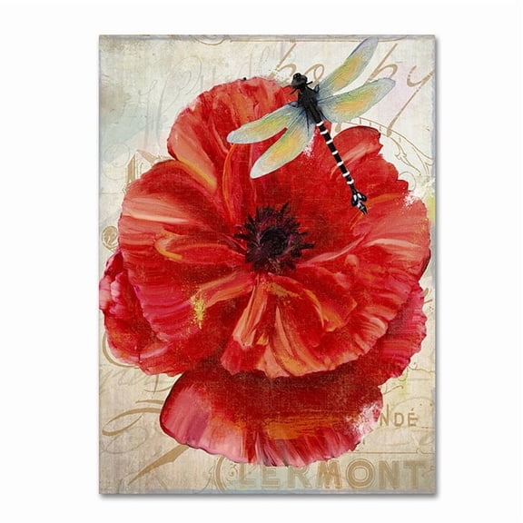 Trademark Fine Art "Le Pavot Dragonfly" Canvas Art by Color Bakery