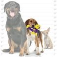 thumbnail image 2 of Mighty Jr Safari Monkey Purple Durable Plush Squeaky Dog Toy, 2 Pack, 2 of 8