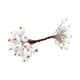 thumbnail image 2 of Bayas de acebo artificiales escarchadas, palitos navideños para decoración del hogar, 20 tallos de alambre Blanco, 2 of 9