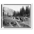 thumbnail image 2 of Historic Framed Print, [Horseback riders on the trail of Indian Henry's, Mt. Rainier National Park, Washington], 17-7/8" x 21-7/8", 2 of 9