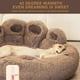 LSLJS Lit Confortable pour Chien - Toutes les Saisons Forme de Patte Coussin de Lit pour Chien Chaud, Pet Beds sur l'Autorisation – image 5 sur 9