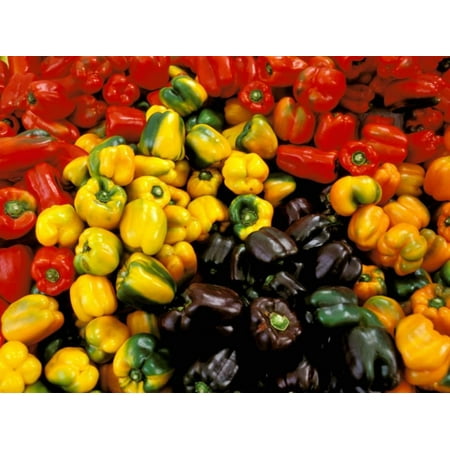 Peppers, Ferry Building Farmer's Market, San Francisco, California, USA Print Wall Art By Inger (Best Farmers Market San Francisco)