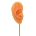 thumbnail image 3 of Earring Display Stand Human Ear Stud Showcase Model Stud Holder Showcase Jewelry Organizer Right Normal Skin, 3 of 9