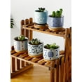 thumbnail image 4 of Succulent Pots  3 Inch  Design for Succulent/Cactus  Ceramic Succulent Cactus Planter Pots with Bamboo Tray(Plants NOT Included), 4 of 6