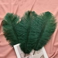 thumbnail image 5 of Blackish Green Ostrich Feathers Bulk- 24pcs 10-12inch for Wedding Party Centerpieces Christmas Decor, 5 of 14