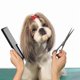 thumbnail image 4 of 1 Hairdressing Comb, Professional Salon Barber Comb, 4 of 5