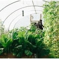 thumbnail image 4 of Jardin Filet Anti Insecte Potager: 2 x 5 m Maille Fine Protection pour Poireaux Arbre Fruitier Jardinage Voile de Plantes Blanche, 4 of 5