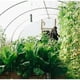 thumbnail image 4 of Jardin Filet Anti Insecte Potager: 2 x 5 m Maille Fine Protection pour Poireaux Arbre Fruitier Jardinage Voile de Plantes Blanche, 4 of 5
