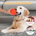 thumbnail image 4 of Pelotas de juguete para perros, paquete de 6 unidades, 6,35 cm, Squeaky Floating, 4 of 7