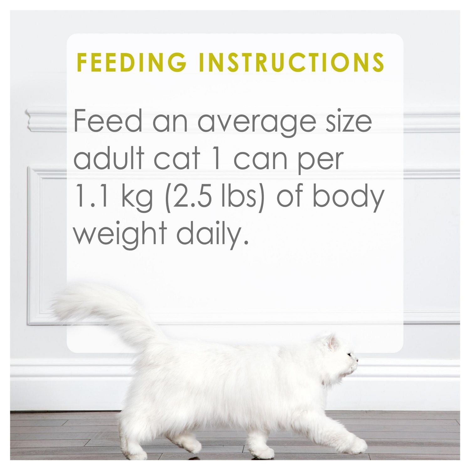 Fancy Feast Medleys Blanc de Poulet Primavera dans une Bouillon Velouté, Nourriture Humide pour Chats 85 g 85 g